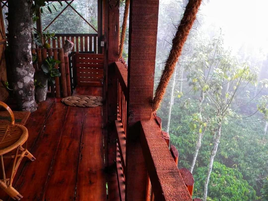 Greens Tree House & Wood House Sultan Bathery Zewnętrze zdjęcie