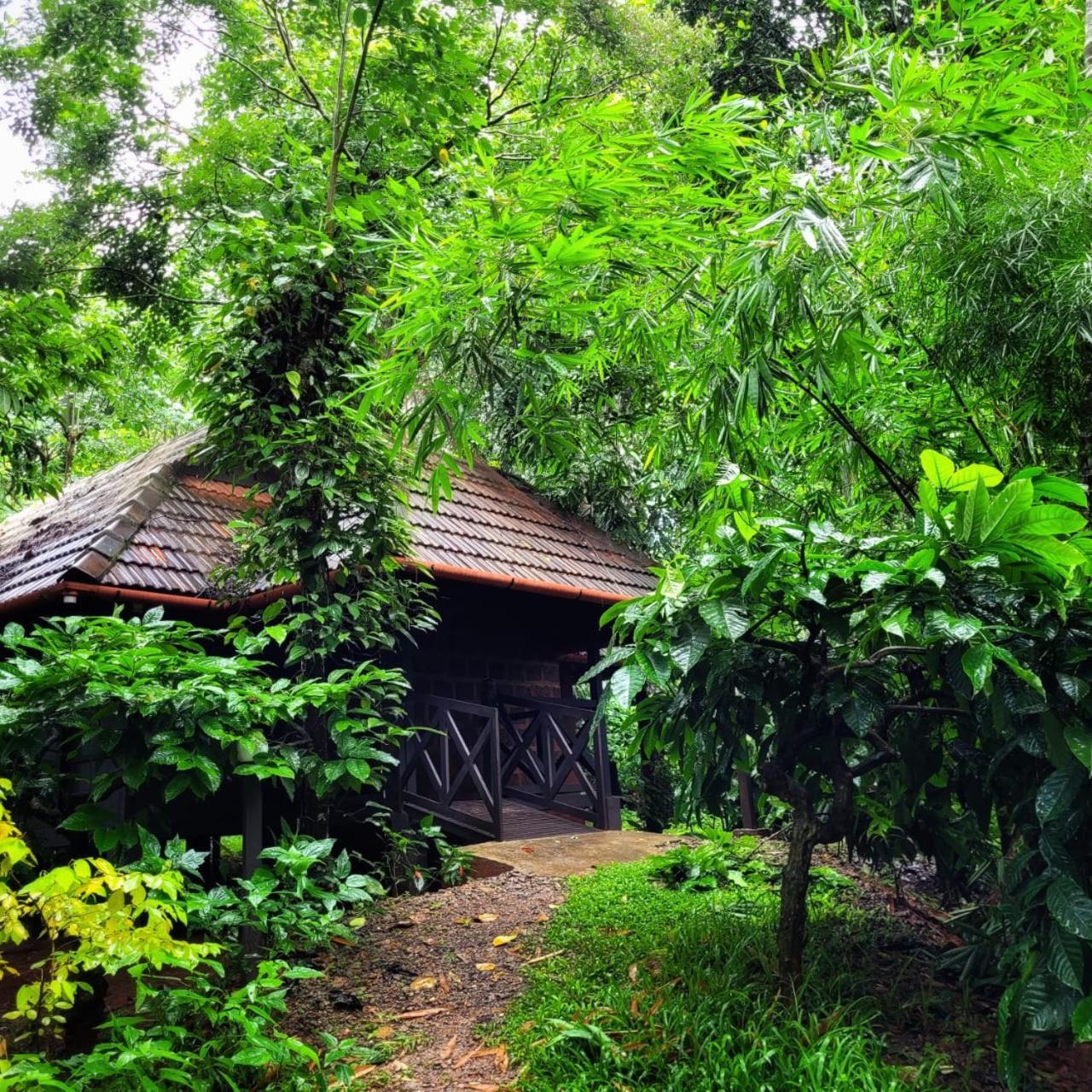 Greens Tree House & Wood House Sultan Bathery Zewnętrze zdjęcie