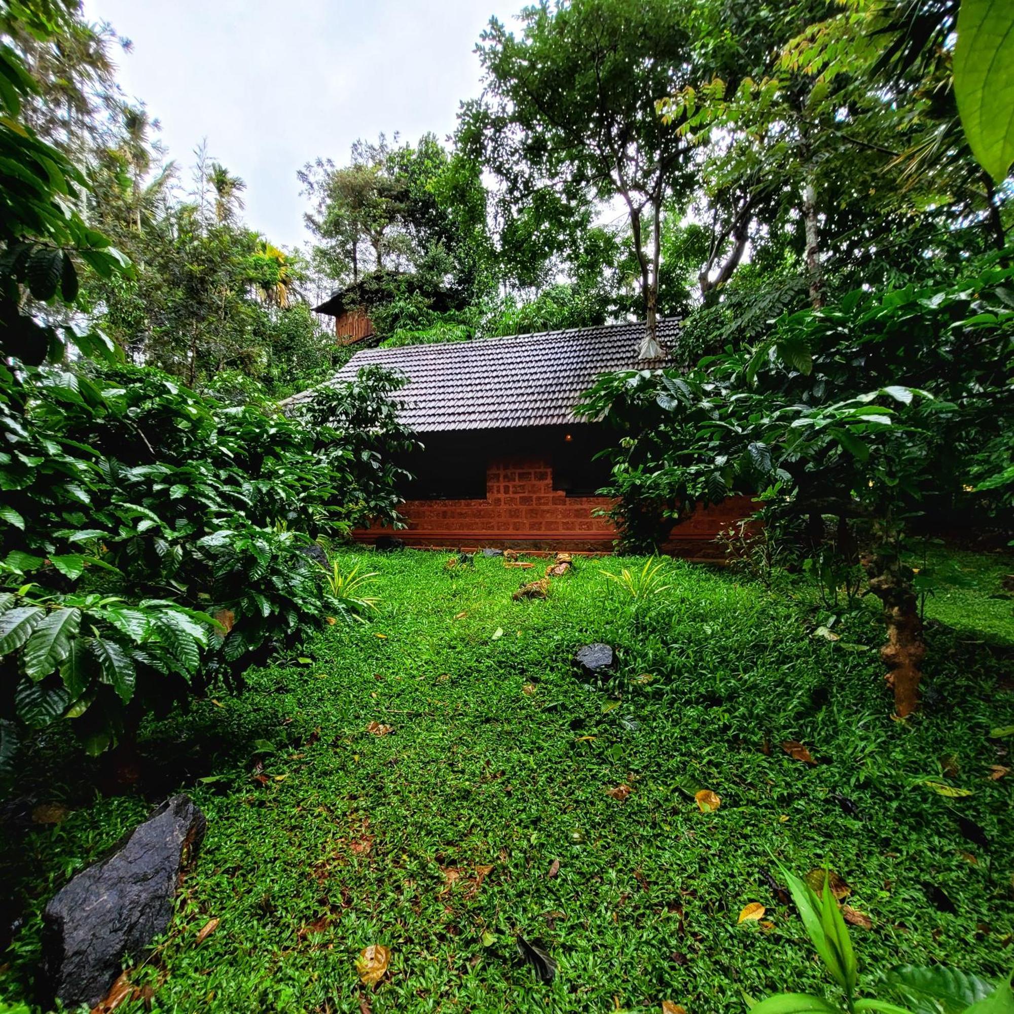 Greens Tree House & Wood House Sultan Bathery Zewnętrze zdjęcie