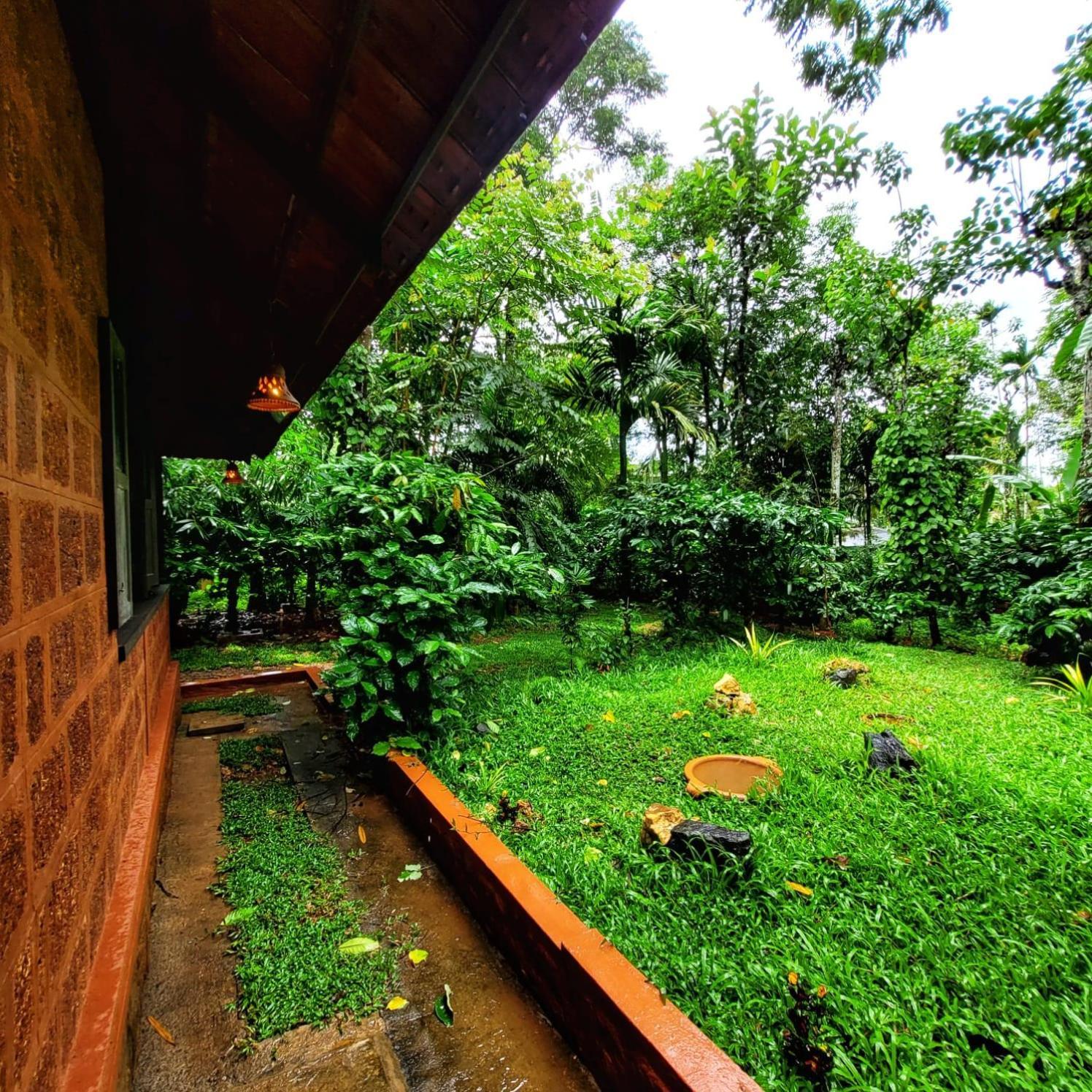Greens Tree House & Wood House Sultan Bathery Zewnętrze zdjęcie
