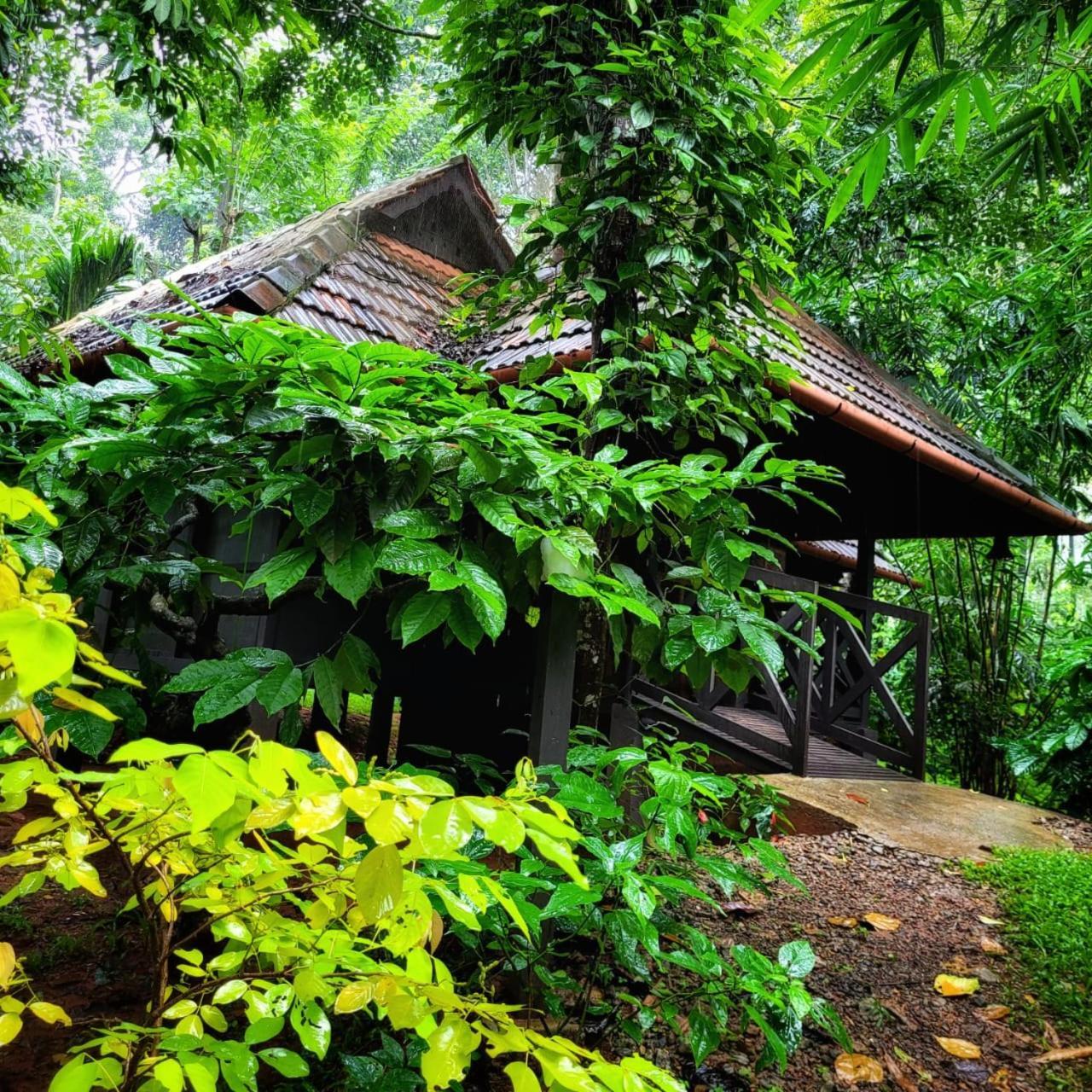 Greens Tree House & Wood House Sultan Bathery Zewnętrze zdjęcie