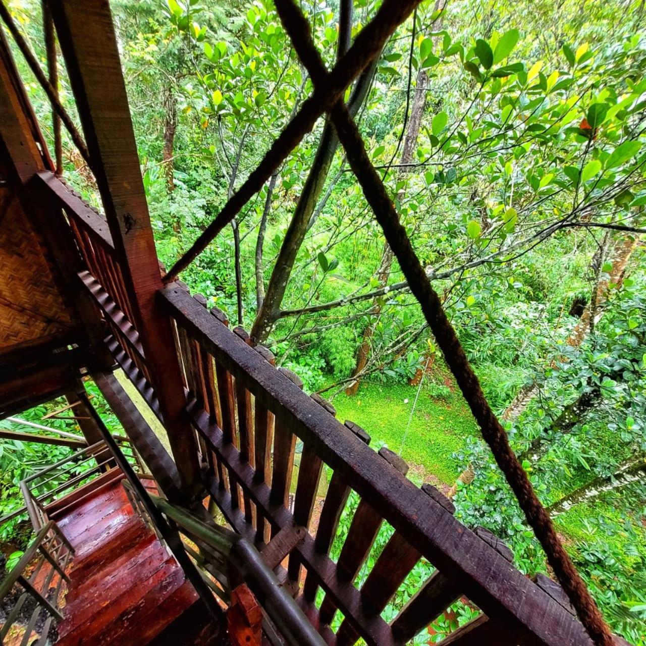 Greens Tree House & Wood House Sultan Bathery Zewnętrze zdjęcie