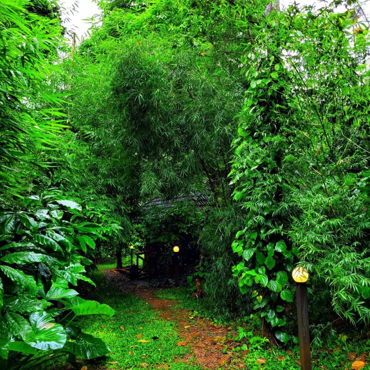 Greens Tree House & Wood House Sultan Bathery Zewnętrze zdjęcie