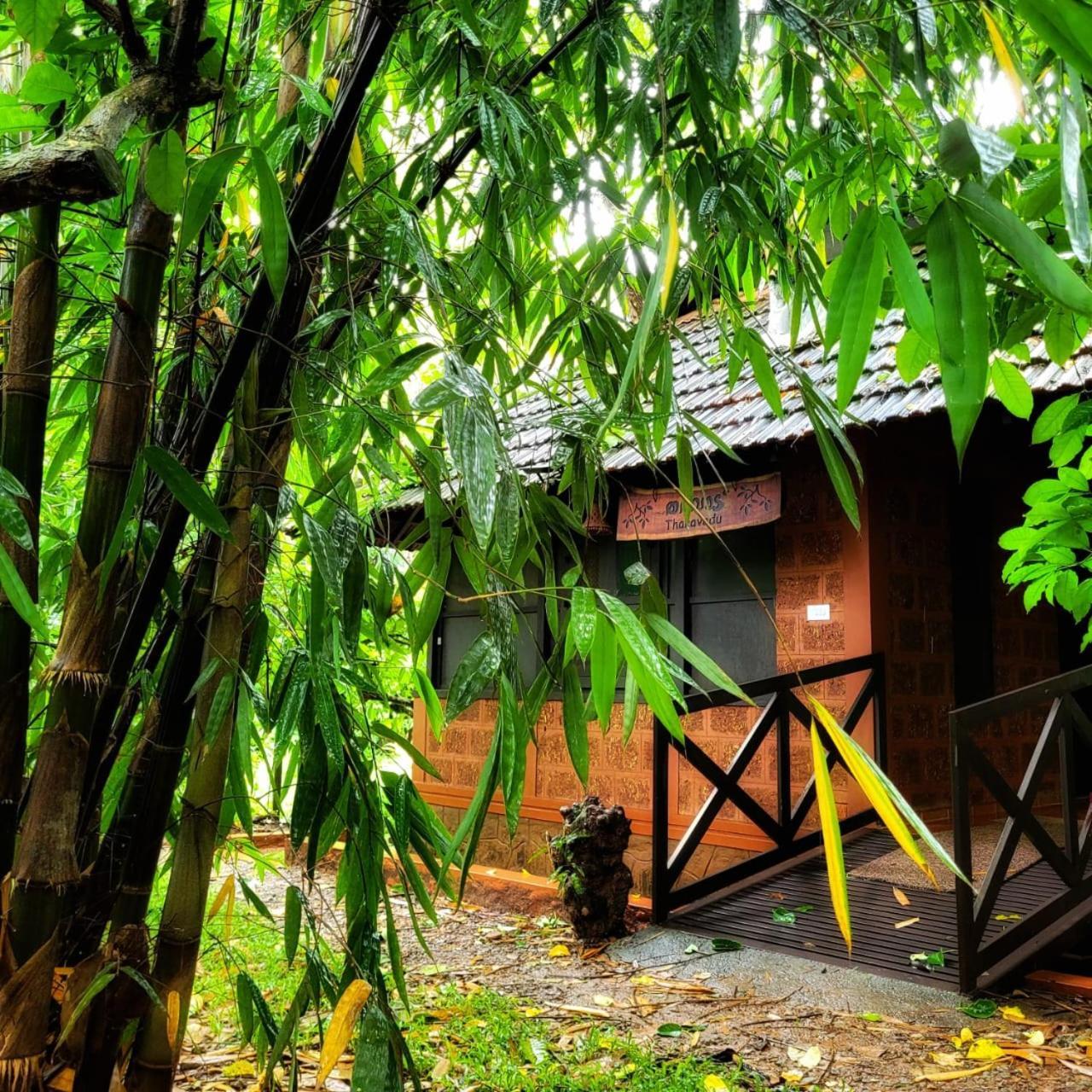 Greens Tree House & Wood House Sultan Bathery Zewnętrze zdjęcie